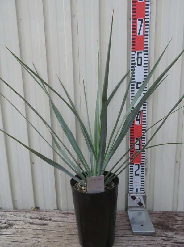 imgrc0113406191.jpg