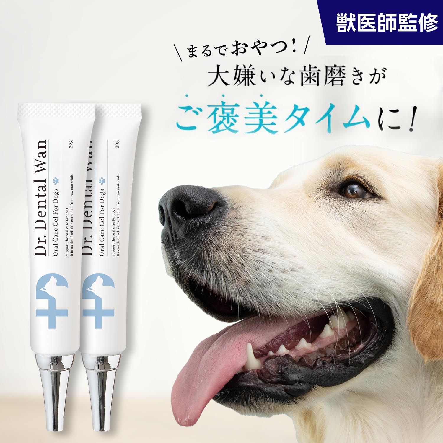 楽天市場】【2個セットでお得！】ドクターデンタルワン 30g×2本 2ヶ月