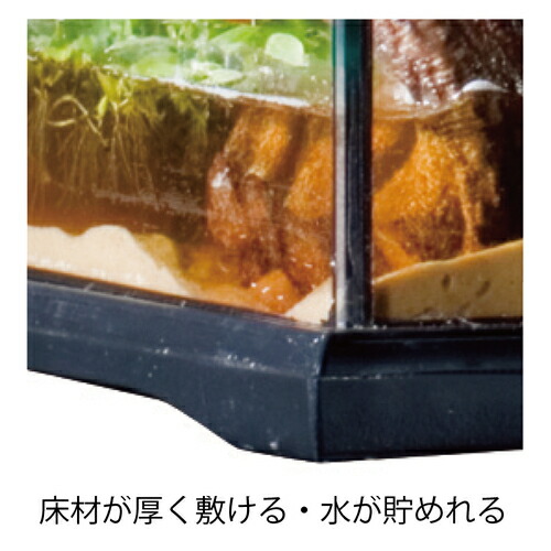 楽天市場】○【エキゾテラ】グラステラリウム 6045 EXOTERRA【ケージ