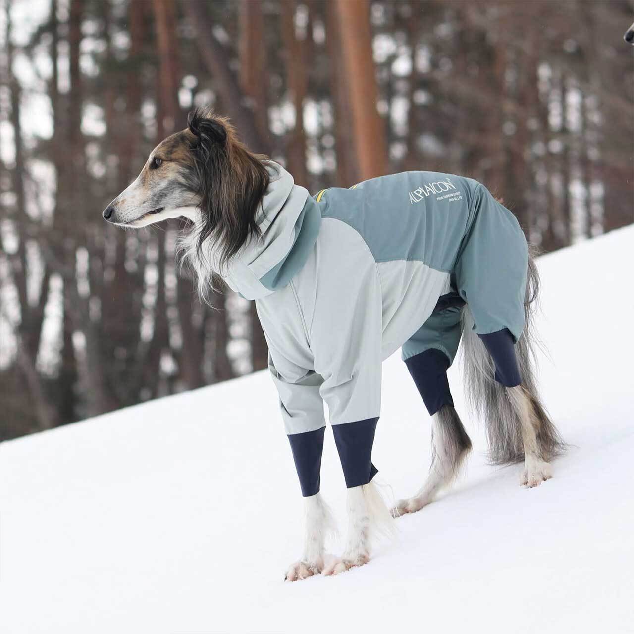 04be49bd675846b5a88a01ab829e06