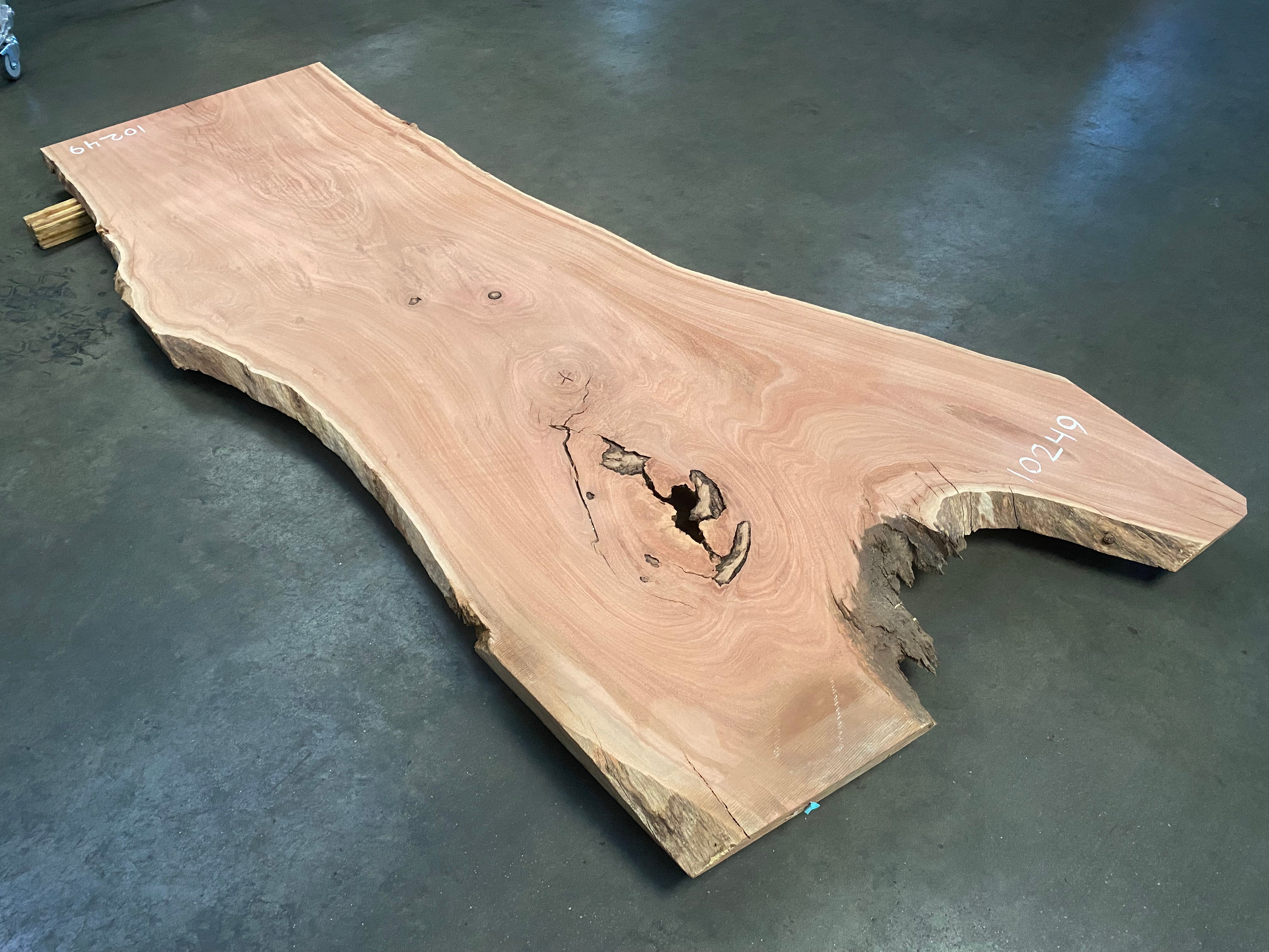 Eucalyptus Slab #10249 (103