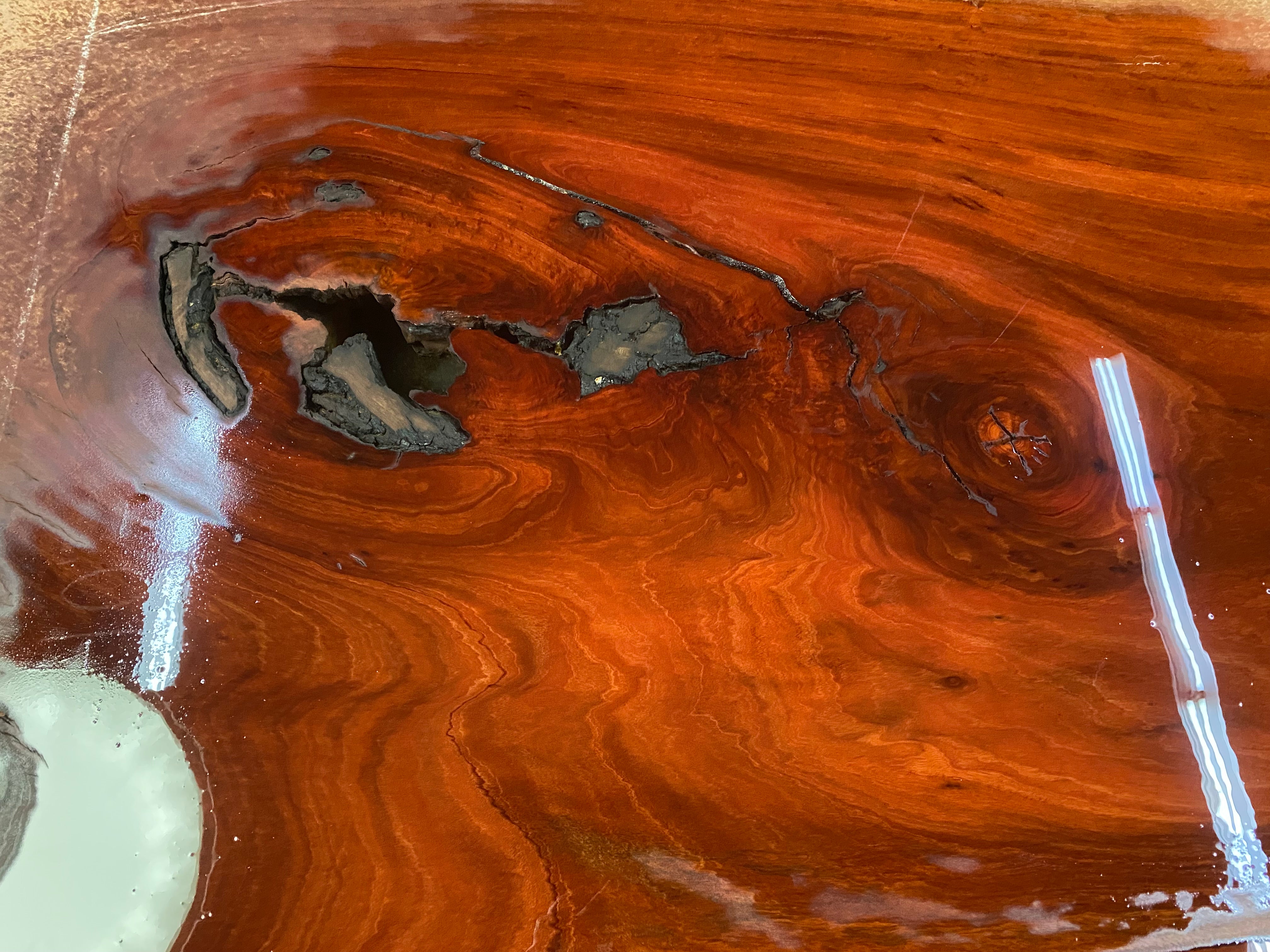 Eucalyptus Slab #10249 (103