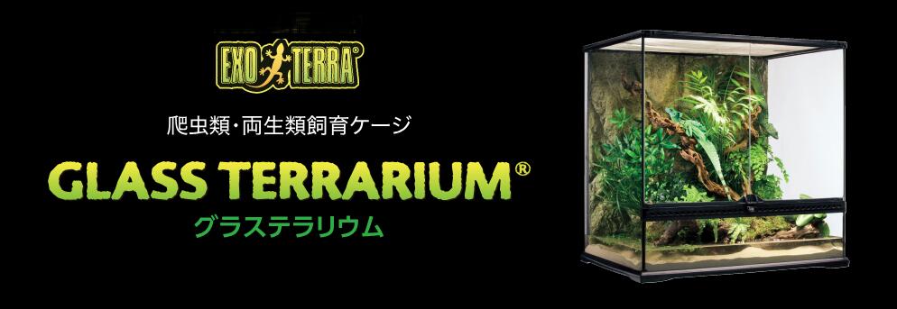 楽天市場】○【エキゾテラ】グラステラリウム 6045 EXOTERRA【ケージ