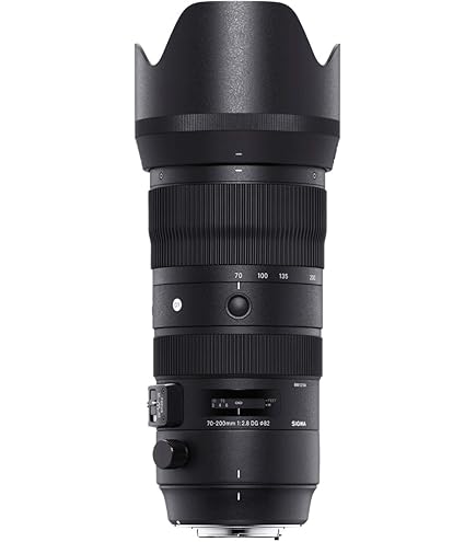 Amazon.co.jp: Nikon Ai AF Zoom Nikkor ED 80-200mm F2.8D : 家電＆カメラ
