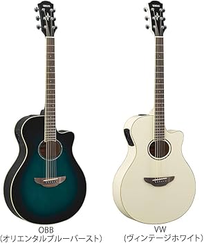 Amazon.co.jp: YAMAHA APX600 アコースティックギター初心者12点セット