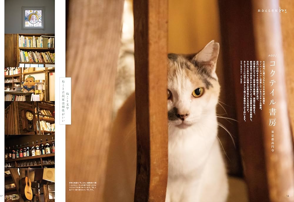 Amazon.co.jp: ねこ no.126【表紙：JO1 木全翔也 別冊付録：カレンダー