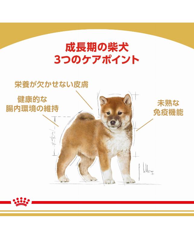 ロイヤルカナン 柴犬 子犬用 3kg（3182550823944）｜犬フード・おやつ