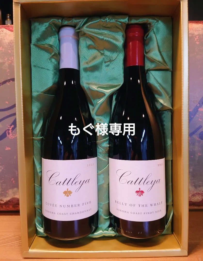 大特価‼️Cattelya ワイン2本セット 2021-2022 カーゼ・コリーニ アキッレ2021赤