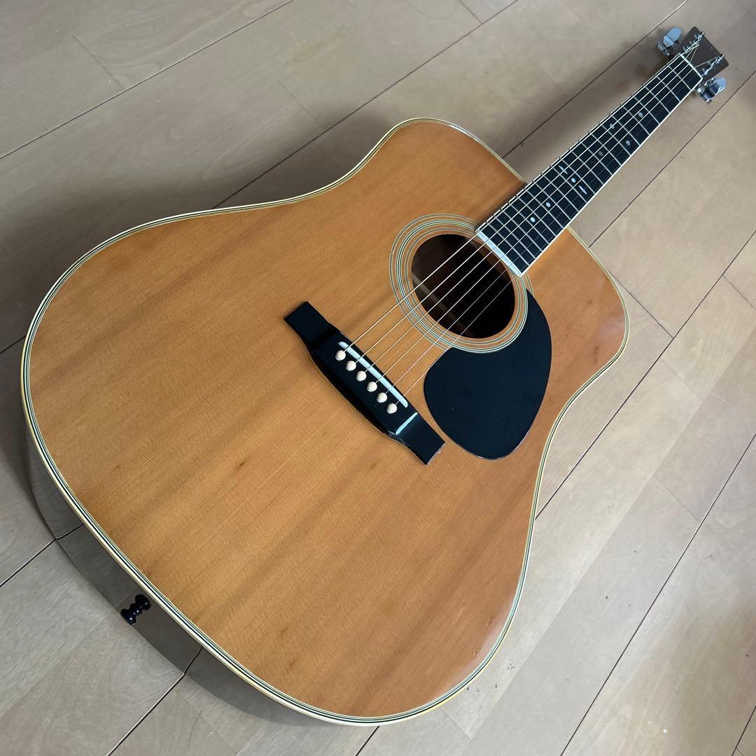 ぴょんたんCat's Eyas CE-200 東海楽器工房 ぴょんたん様専用Cat's Eyas CE-200 東海楽器工房 - メルカリ