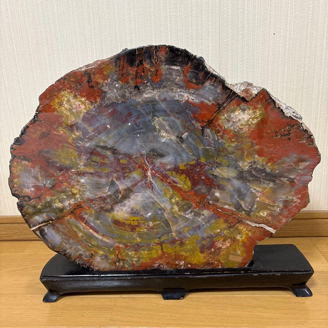 珪化木 珪化木（Araucaria）｜化石販売・鉱物販売の東京サイエンス
