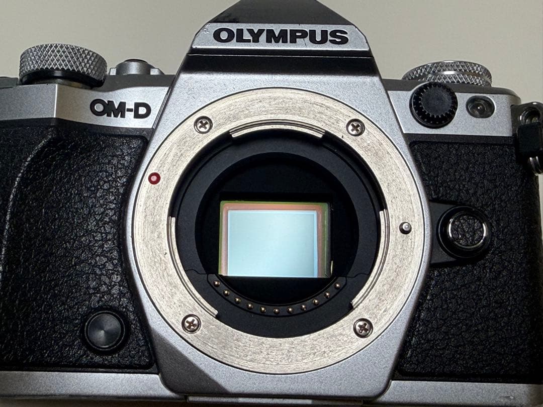予備電池付き】OLYMPUS OM-D E-M5 Mark II 本体 - メルカリ