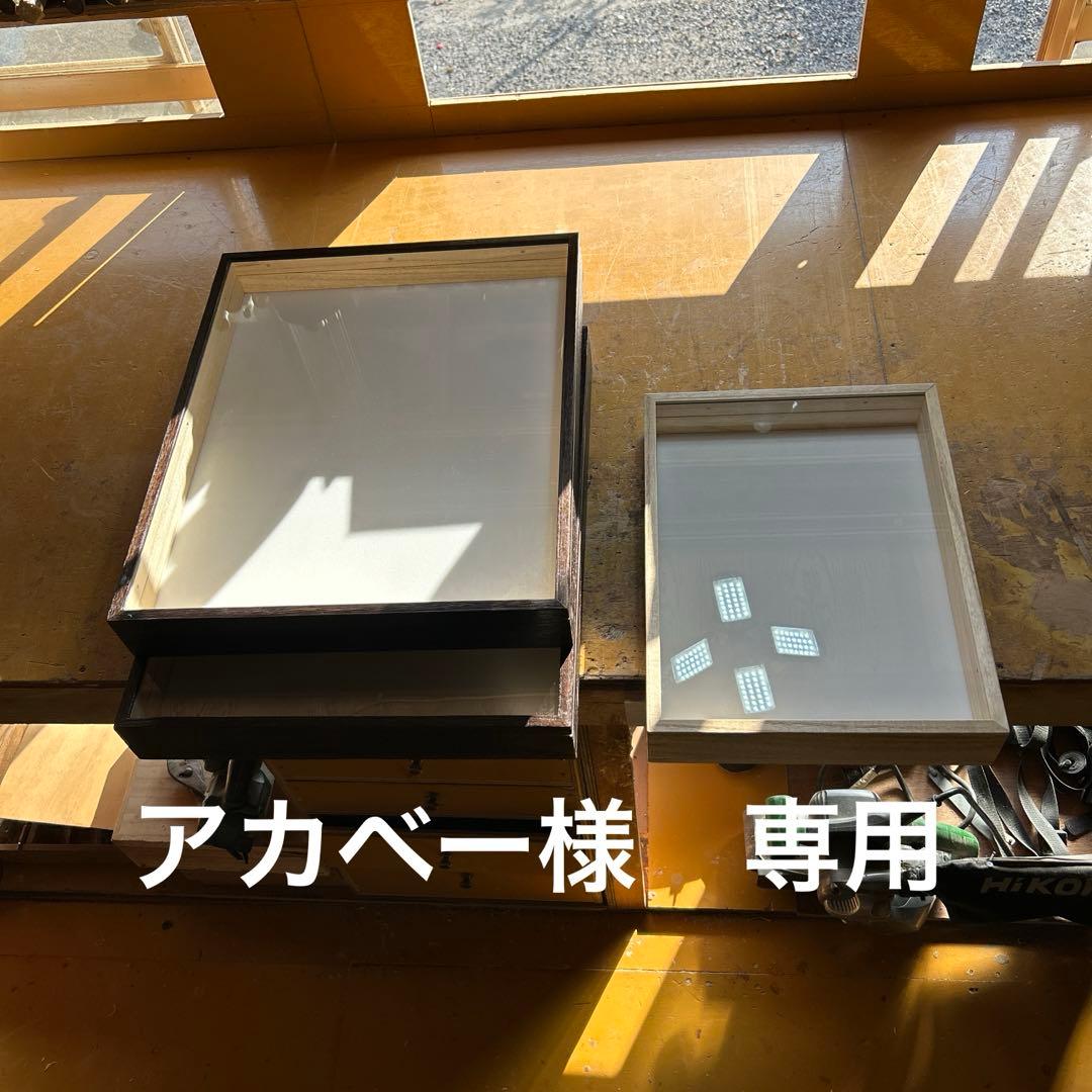 大　中標本箱　3箱 ドイツ箱マグネットコレクション3 – ネイチャーテクニカラー公式