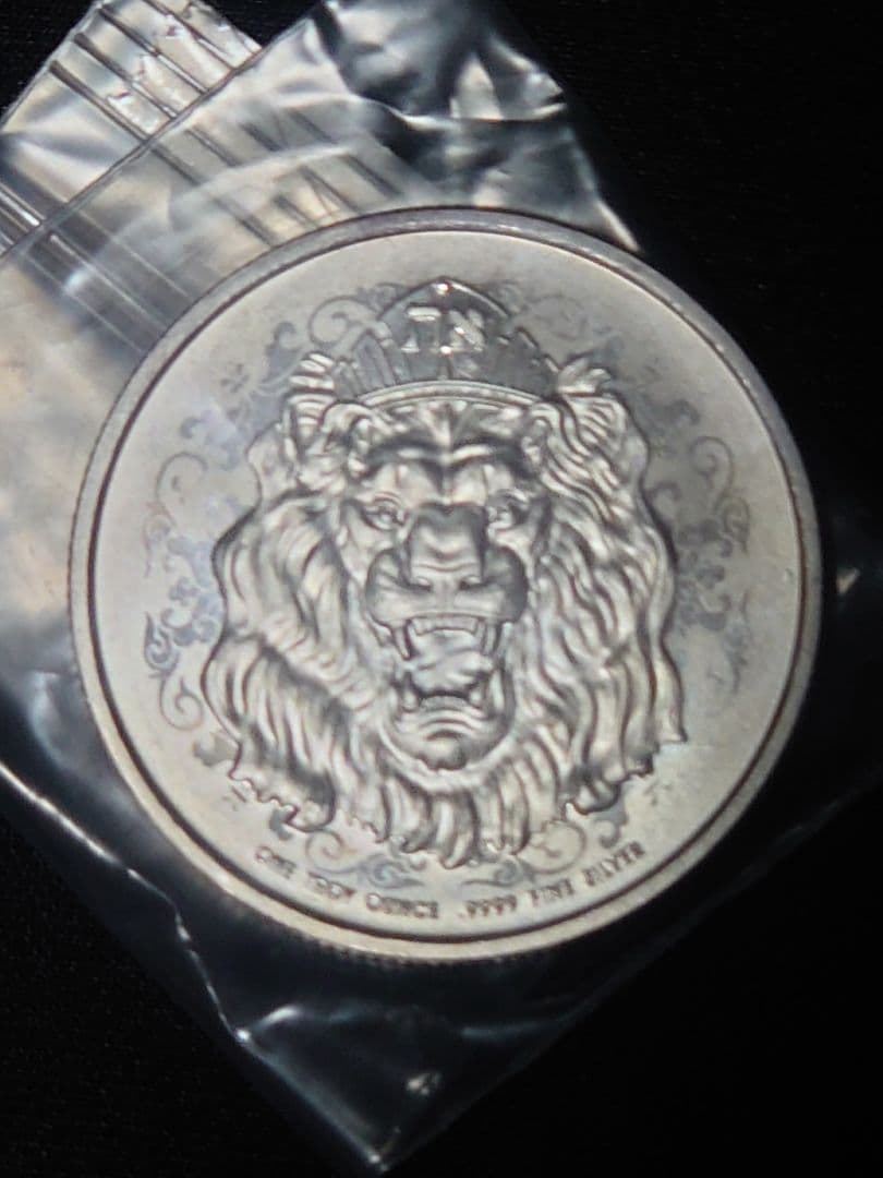 2022年 ニウエ ユダのライオン 1オンス銀貨 ニウエ 銀貨 1オンス」の人気商品一覧 | 安い商品を通販サイトから探す