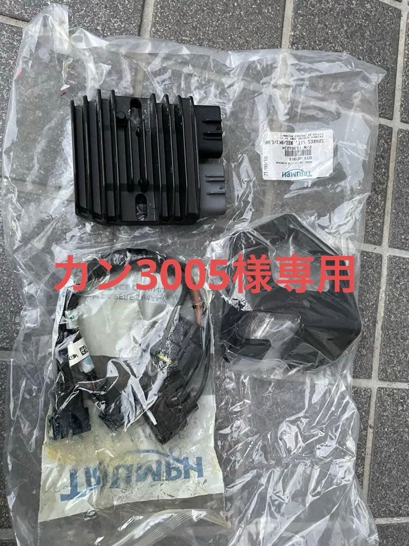 トライアンフ　デイトナ675前期　2006年〜レギュレータ　ステー付き デイトナ675（2006） 年式別モデルカタログ | バージントライアンフ